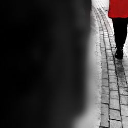 dailyPhoto40